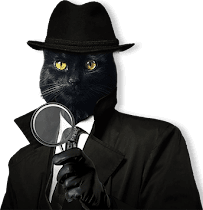 Edmond, Oklahoma Private Investigators, Process Servers, Mediation Service, Notary Public & Mobile Notary, & Polygraph Tests