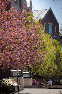 University of Oregon School of Law