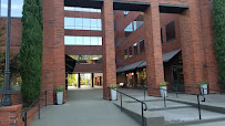 Law Office of A Alexander Hamalian