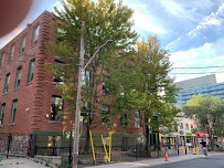 Taman Singh Law | Employment Lawyer, Termination Lawyer and Business Lawyer Brampton Oakville Bolton | RZCD Law Firm LLP