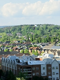 Rula Morcos Notary Public & Commissioner of Oaths