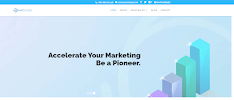 Marketing Bee | Best Digital Marketing Agency in Bangladesh