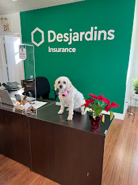 Billyard Insurance Group - Brampton