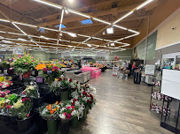 Uptown Pharmacy & Wellness