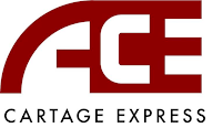 ACE CARTAGE EXPRESS LLC