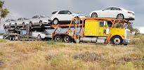Wicked Wayzz Transportation
