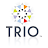 Trio Solutions Inc. (TRIO)