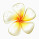 Sunuba Salon and Spa Rejuvenation Center