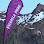 Valhalla Pure Outfitters Courtenay