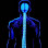 Apex Chiropractic