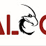 Falcon Eyes Security Systems