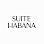 Suite Habana Cafe