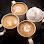 The Bardo Coffee House