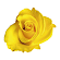 Crowstone House Care Home | Runwood Homes Senior Living