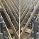 GS Carpentry