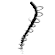 Spine Align Chiropractic