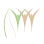 The Natural Way Health Clinic