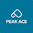 Peak Ace AG