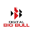 Digital Big Bull