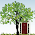Estate Concierge & Downsizing Services