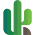 Cactus Numérique - Agence de marketing numérique à Montréal