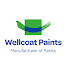 Wellcoat Paints
