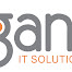 GANIS IT SOLUTIONS LLC
