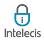 Intelecis IT Support Company