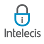 Intelecis - Cyber Security Company in California, IT support Company In California