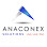 AnaConEx Group