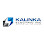 Kalinka Electric Inc