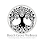 Beech Grove Wellness