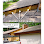 David Hazen Group