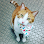 Animal Care Clinic West & Metro Cat Hospital