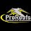ProRoofs