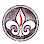McNeil Chiropractic