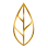 Ollis Chiropractic Integrative Health
