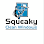 Squeaky Clean Window LLC
