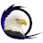 Direct Express, Inc.
