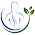 Healthwise Care