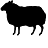 BBH India