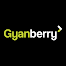 Gyanberry Education Consultants