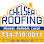 Chelsea Roofing