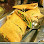The Nilgiris Restaurant