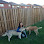 Kelly and Yang Dog Care Services