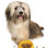 Bingo's Barkery & Pampered Pups Salon LLC