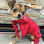 Bloomingtails Pet Boutique & Grooming Salon