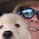 Manners For Your Mutts Dog Training