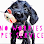 No Worries! Pet Service