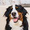 Park9 Downtown- Dog Playcare. Spa. Resort